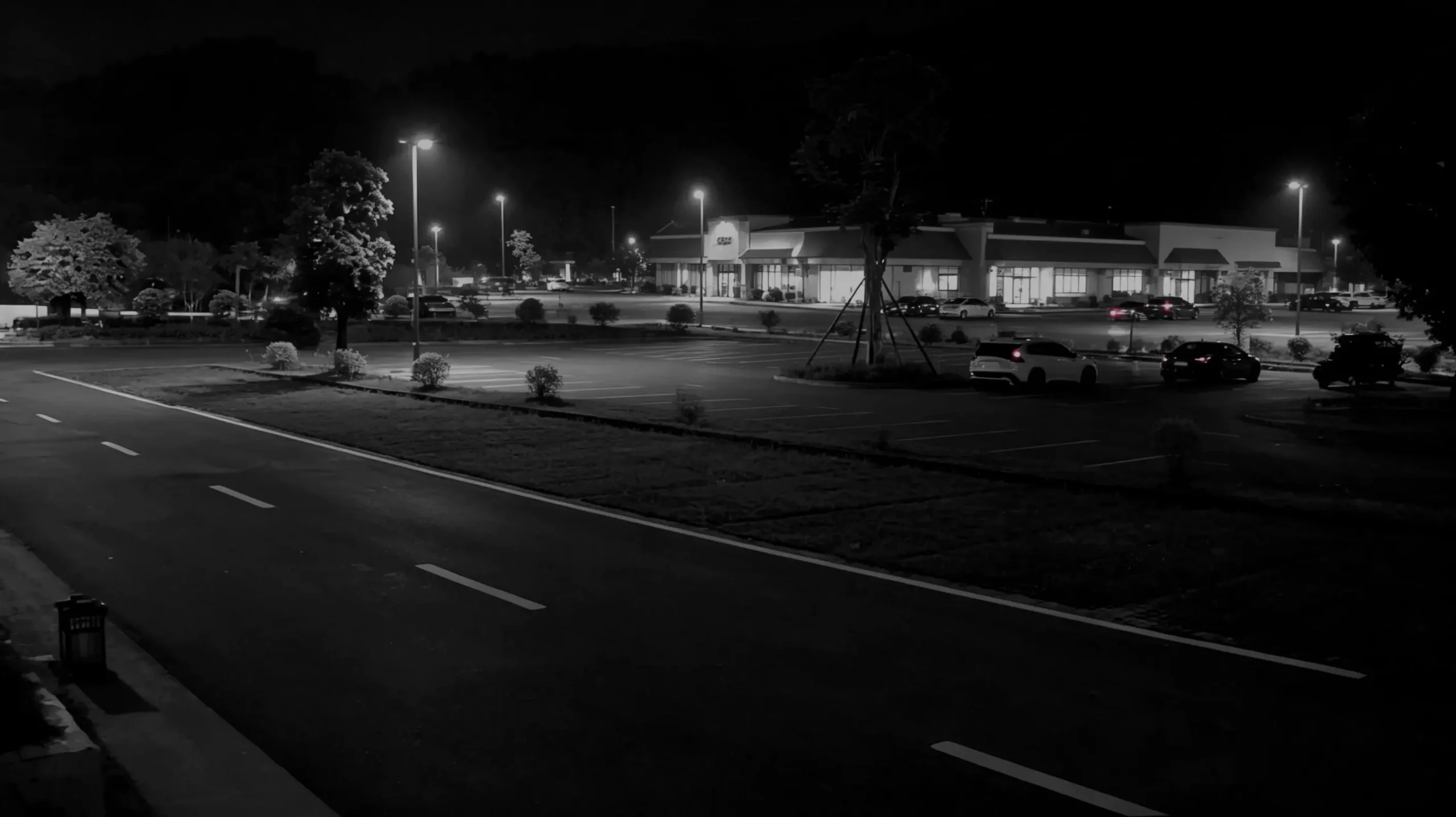 Full-Color Night Vision after
